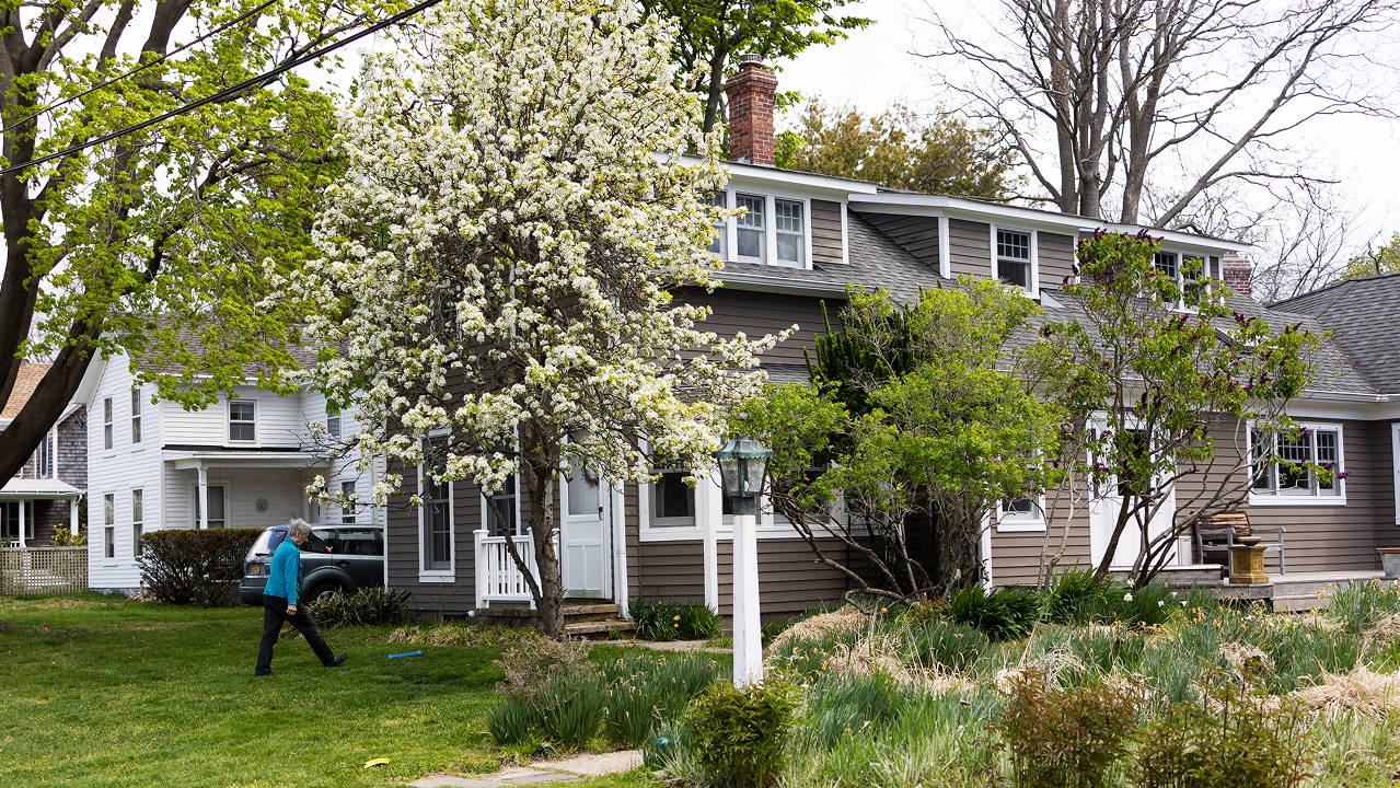 Orient Point house exterior — cherry blossom in bloom on a spring day