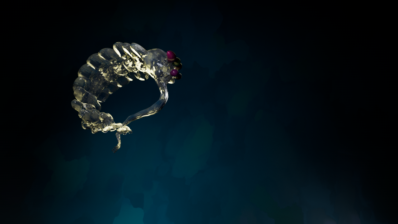 Opie curled small inside a dark teal void — quiet, withdrawn pose